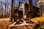 Top Wintergreen