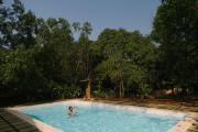 Top Arambol