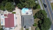 Top Sanderling