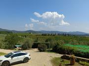 Top Grassina Top Grassina