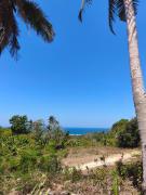 Top Sumba