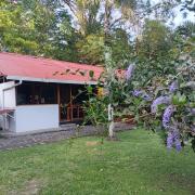 Top Cahuita