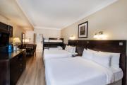 Fantasyland Hotel
