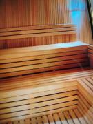 BlueStar Apt & Spa Zlatibor