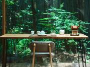 Top Jingdezhen
