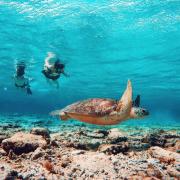 Top Gili Sudak