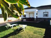 Top El Palmar