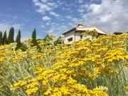 Top San Giustino Valdarno