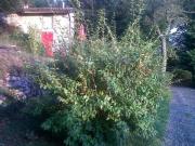 Top Solto Collina