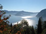 Top Solto Collina