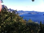 Top Solto Collina