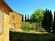 Top Montaione