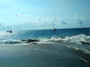 Top Viareggio
