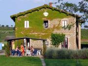 Top Torgiano