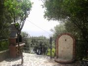 Top Pisciotta