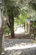Top Pisciotta