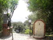 Top Pisciotta