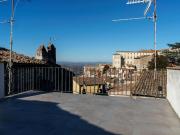 Top Todi