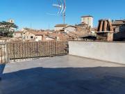 Top Todi