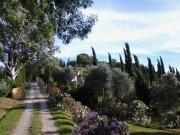 Top Montaione