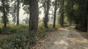 Top Siliguri