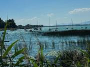 Top Murten