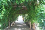 Top Ventotene