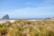 Top Pacific City Top Pacific City