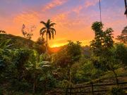 Top Naranjito