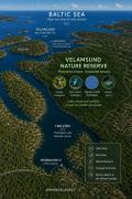 Top Ormingelandet