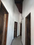 Top Longbardi