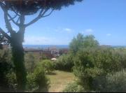 Top Anzio