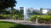Top Acapulco
