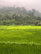 Galkot sweet dream guest house and organic kitchen