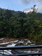 Top Vagamon