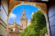 Top Seville