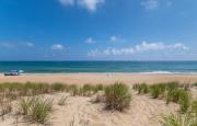 Top Southern Shores