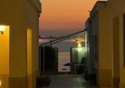 Top Scoglitti
