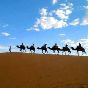 Moha Desert Camp