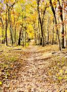 Top Traverse City