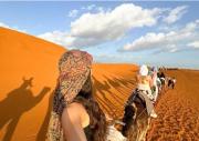 Moroccan Luxury camp