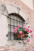 Top Fidenza
