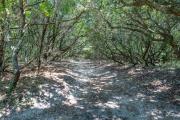 Top Southern Shores