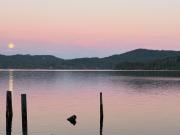 Top Sooke
