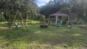 Top Palatka