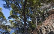 Top Taormina