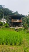 Top Ban Sop Mae Klang