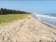Top Puducherry