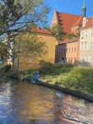 Top Bydgoszcz