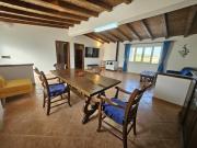 Top Capo Comino